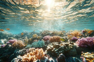 Obraz premium Vibrant underwater scene showcasing a thriving coral reef teeming with colorful fish and bathed in sunlight.