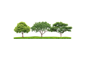 Obraz premium A serene landscape with three leafy trees, evenly spaced, resting on a slightly elevated grassy patch, isolated on a transparent background