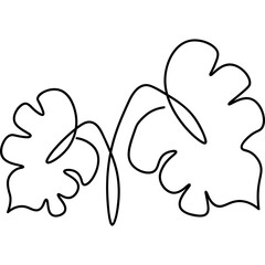 Monstera Leaves Line Art