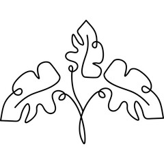 Monstera Leaves Line Art