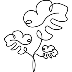 Monstera Leaves Line Art