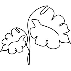 Monstera Leaves Line Art