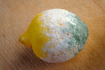 Angeschimmelte Zitrone