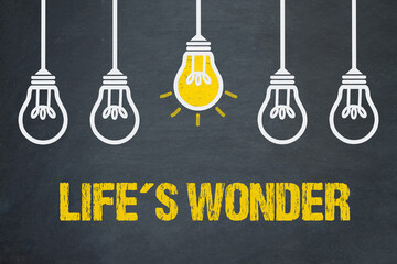 Life’s Wonder