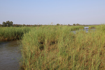 Krüger Park - Afrikanischer Busch - Olifants River/ Kruger Park - African bush - Olifants River/