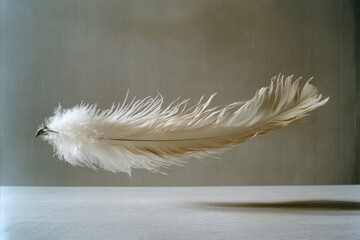 An ethereal white feather floats gently against a neutral backdrop, capturing elegance and simplicity.