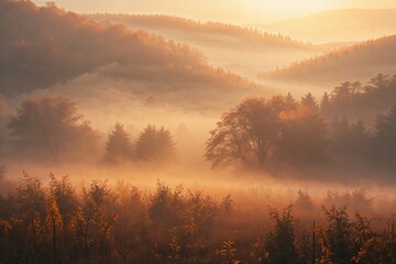 Enchanting Soft Gradient Autumn Fog Background with Warm Digital Glow and Nostalgic Golden Tones