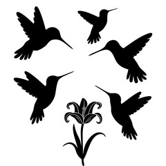 Hummingbird and Flower Silhouette Set – Elegant Nature-Inspired Vector Design