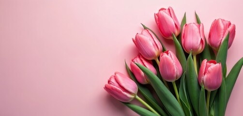 Top view flat lay of spring tulip flowers on pink backdrop. Blossom bouquet for Womens or Mothers Day greeting card or Spring Sale banner, romantic design. Generative AI.