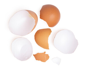 Brown egg shell broken or crack with pieces scattered