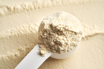 Whey protein powder in a measuring spoon, closeup