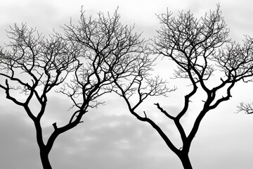 A grayscale image capturing silhouetted trees with bare branches against an overcast sky, conveying a somber, minimalist atmosphere and the essence of winter.