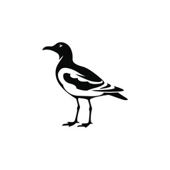 Obraz premium seagull silhouette flat vector illustration