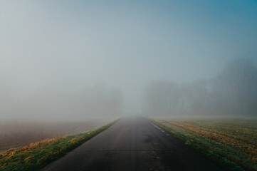 A Journey Through the Fog of Indian Summer, Illuminated by the Soft Glow of Dawn