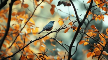 Small blue bird perched on autumn branch.