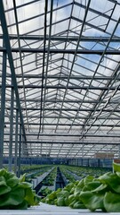 greenhouse with bio plants