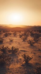 Obraz premium Golden Hour Desert Landscape: A Stunning Sunrise View of the Desert's Beauty