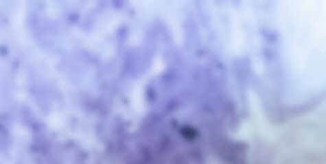 Whimsical and Energetic Colorburst Creating a Captivating and Abstract Visual Experience