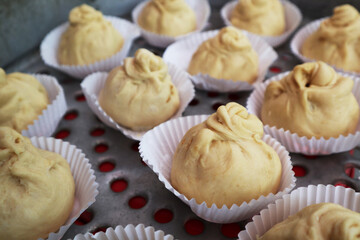 home made uncooked bun dough on the steamer in the kitchen 