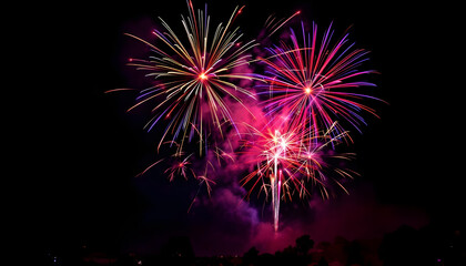 Spectacular Fireworks in the Night Sky