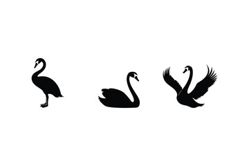Swan Silhouette Collection   Vector Clipart in Various Poses on White Background