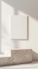 Minimalist Modern Architecture Display