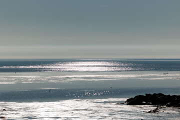 ambiente naturale costiero del Mare Adriatico con bassa marea, vicino al Golfo di Trieste, colorato di arancione dalla luce del sole al tramonto, in inverno