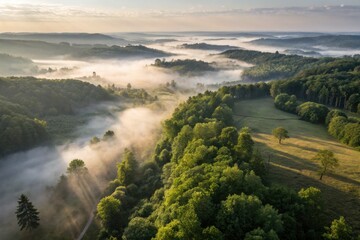 Fototapeta premium Aerial View of Misty Forest Landscape at Dawn – Capturing Lush Greenery and Rolling Hills