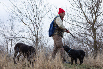 Mature hunter man holding a shotgun and walking through a field