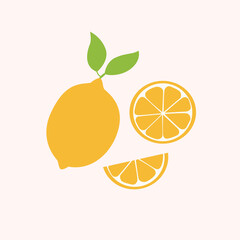 Set of lemons on isolated background.  Collection of a slice of a lemon, whole lemon,half a lemon. Vector illustration cartoon flat style.