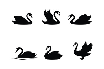 Swan Silhouette Set  Vector Art in Various Poses on White Background