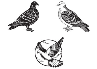 pigeon logo silhouette vector, flying pigeon logo icon,  pigeon bird logo design vector, pigeon vector logo design on white background.