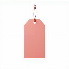 Simple Salmon Tag Hanging by Cord Design Element for Products Gifts and Merchandise Presentation