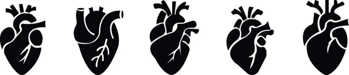 Anatomical heart icon set.Human anatomy internal organ set with brain lung intestine heart kidney liver and stomatch.Healthy Cardiovascular Organ Symbol Collection on White Background and red.