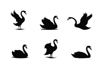 Swan Vector Clipart Collection  Silhouettes in Diverse Poses on White Background
