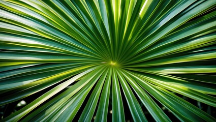 Close-Up View of Radiant Green Palm Leaf Displaying Intricate Natural Patterns and Textures in a Lush Tropical Setting