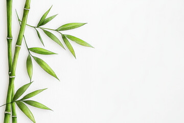 Naklejka premium Green bamboo stems and leaves on white background, creating minimalist and serene composition