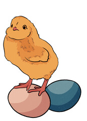 Easter eggs and cute cartoon chick chicken isolate on a transparent background. easter, spring illustration