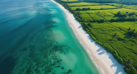 Fototapeta premium Panoramic Aerial View Of Tropical Beach With Turquoise Water And Lush Green Meadows Under Clear Blue Sky In Scenic Natural Landscape