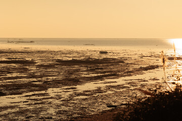 ambiente naturale costiero del Mare Adriatico con bassa marea, vicino al Golfo di Trieste, colorato di arancione dalla luce del sole al tramonto, in inverno