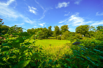 Fototapety na wymiar - Fototapeta24.pl