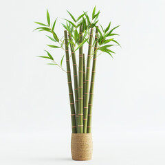 Fototapeta premium Bamboo stalks and leaves