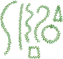 floral design elements