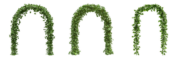 Lush Green Archways Adorned with Cascading Vines Isolated on transparent background
