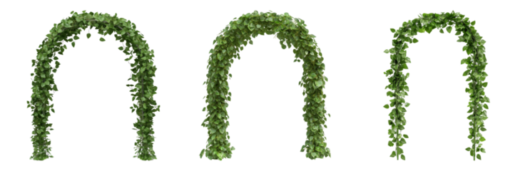 Lush Green Archways Adorned with Cascading Vines Isolated on transparent background