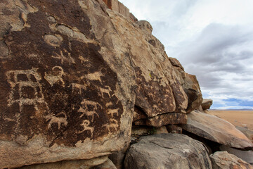 A breathtaking display of ancient Mongolian petroglyphs, etched into rock surfaces like a natural open-air gallery. These prehistoric carvings offer a glimpse into early nomadic life and culture.