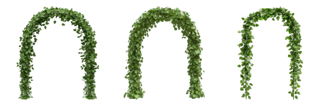 Lush Green Archways Adorned with Cascading Vines Isolated on transparent background