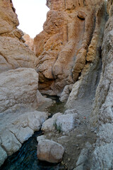 Oasi di Chebica con la sorgente di acqua potabile e l'antico villaggio Berbero. provincia di Tozeur,Tunisia