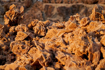 Oasi di Chebica con la sorgente di acqua potabile e l'antico villaggio Berbero. provincia di Tozeur,Tunisia
