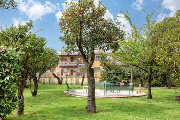giardino tra gli alberi